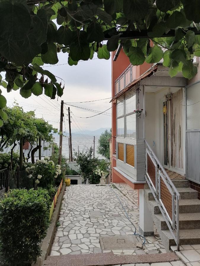 Villa Shine Apartment 1 สตรูกา ภายนอก รูปภาพ